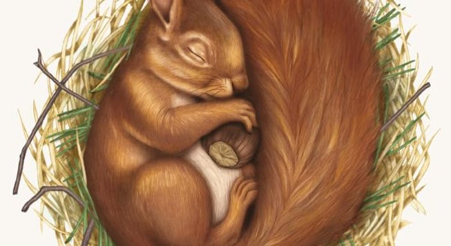 Rifugi per un tempo sospeso, copertina