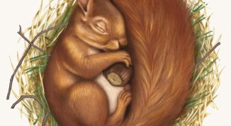 Marianna Corona presenta il libro Rifugi per un tempo sospeso, con Elena Filini e Omar Pedrini