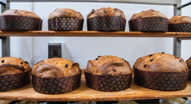 Panettoni