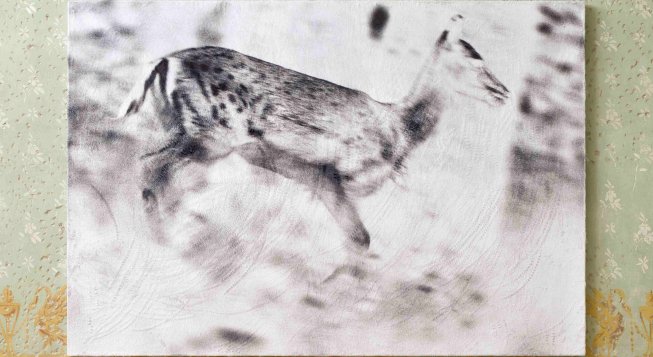 Luca Campestri, Like velvety scars 1, 2025 © Petrò Gilberti, courtesy of Palazzo Monti