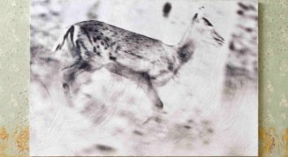 NeveR Alone, mostra collettiva