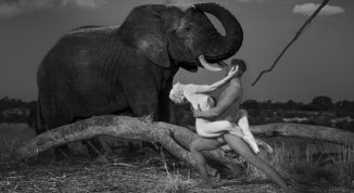 Dancing with Nature, mostra fotografica di Ruggero Rosfer