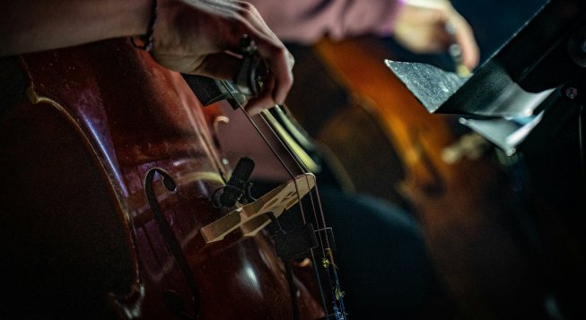 Violoncello © Rob Simmons / Unsplash