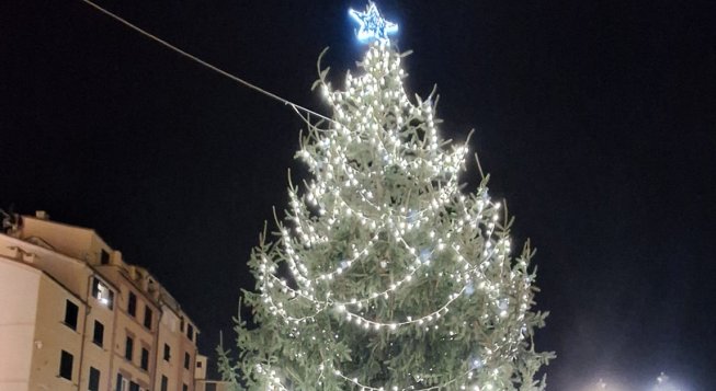 Albero di Natale a Camogli ©Facebook.com/claudiogpompei