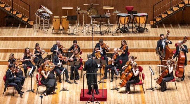 Insubria Chamber Orchestra