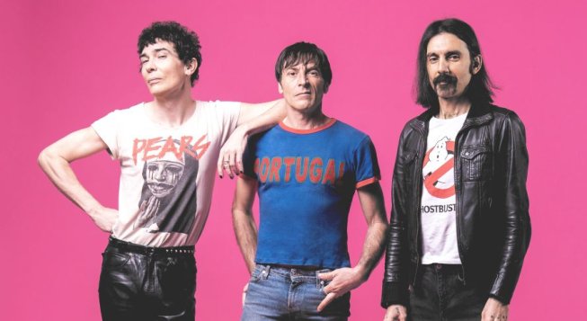 The Zen Circus © Mindbox Studio