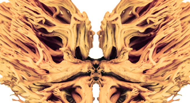 Radio Lsd: Albert Hofmann’s Trip