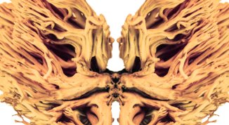 Radio Lsd: Albert Hofmann’s Trip, audiofiction immersiva live di Flavio Stroppini e Andrea Manzoni