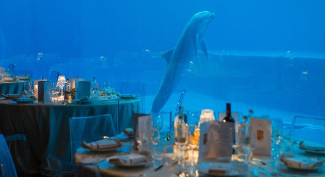 Capodanno padiglione cetacei ©AcquariodiGenova