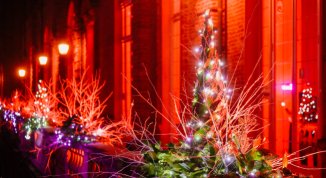 Natale nelle Residenze Sabaude: laboratori di ghirlande a Torino, Moncalieri e Venaria