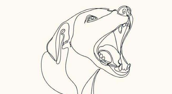 Le stelle divorate dai cani, copertina