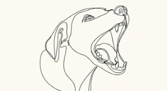 Pierfrancesco Majorino presenta il libro Le stelle divorate dai cani