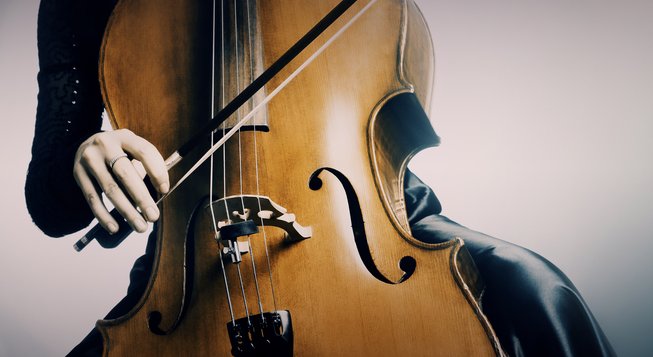 Violoncello © shutterstock