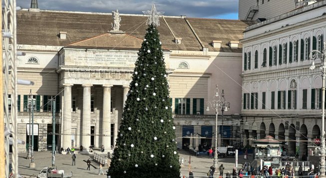 L'albero di Natale in piazza De Ferrari © Ancila Mettekkatt