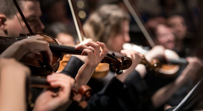 Orchestra © Larisa Birta / Unsplash