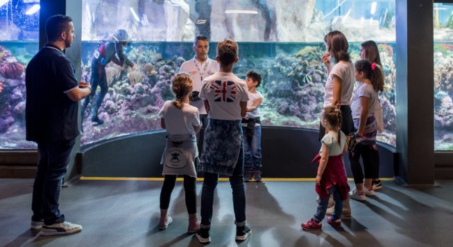 Acquario di Genova