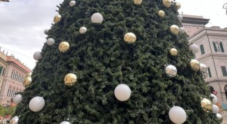 Accensione dell'albero di Natale in piazza De Ferrari