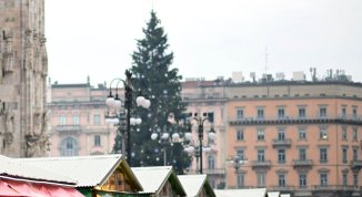 Albero di Natale 2025 in piazza Duomo: cerimonia di accensione