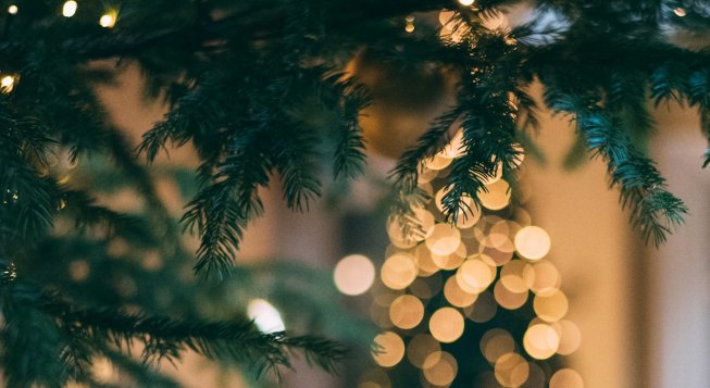 Albero di Natale © Mourad Saadi / Unsplash