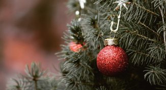 Albero di Natale 2025 a Sestri Levante: festa per l'accensione