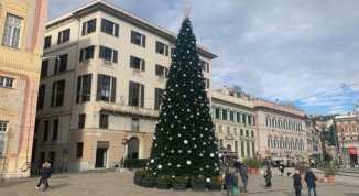 Albero di Natale 2025 in piazza De Ferrari: la cerimonia d'accensione. Programma e orari