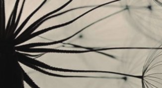 Mito e adolescenza (Prometeo Instagrammato), di Antonio Somma - Mito Vivo