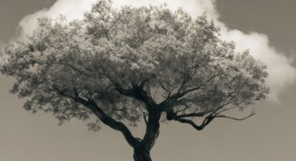 Mito e musica, con Michele Fagnani, Alessandro Rossi e Simona Severini - Mito Vivo