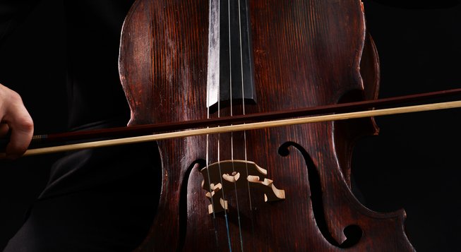 Viola © shutterstock