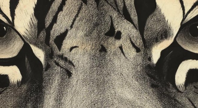 Io, Sandokan (copertina)