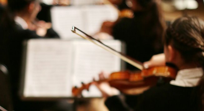 Violini © Adamara / Unsplash