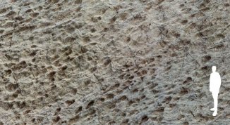 Triassic Park in Lombardia, migliaia di orme di dinosauri scoperte nel Parco dello Stelvio: dove si trovano e foto del ritrovamento