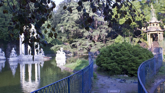 Sara Racciatti (Wikimedia Commons)