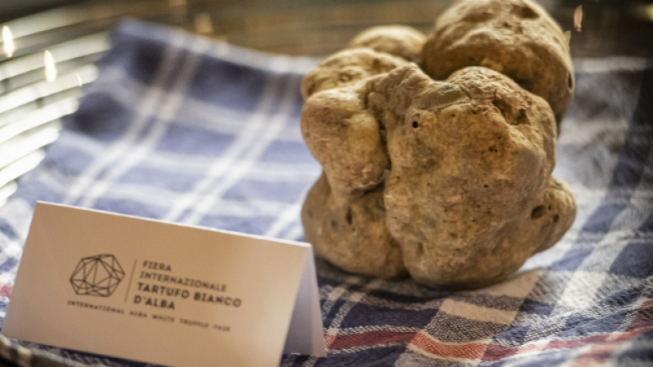 La Fiera del Tartufo Bianco di Alba ora va online: il Truffle Lab e il Digital Wine Lab