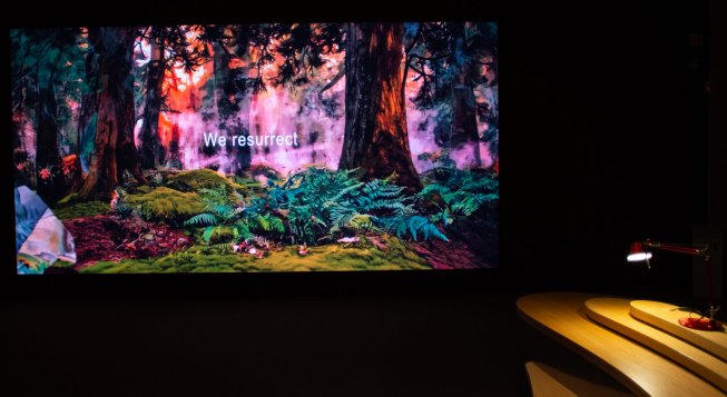  Debora Hirsch, Vanishing Trees, 2026, Palazzo Citterio