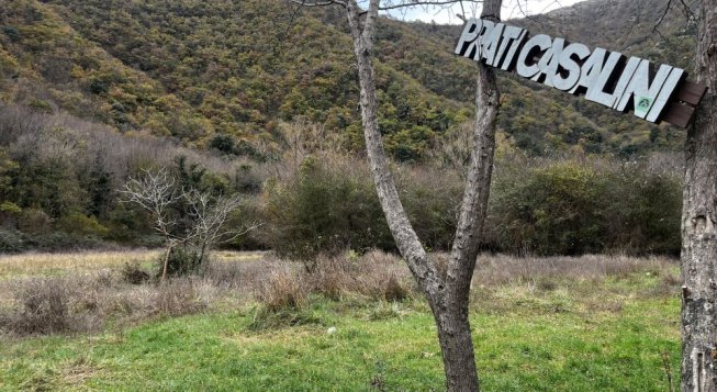 Prati Casalini. ©Ancila Mettekkatt