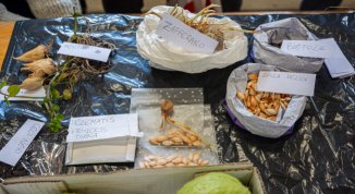 Mandillo dei Semi 2026 a Santo Stefano d'Aveto: festa del libero scambio