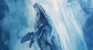 Chi se le inc*la le balene?, con Michele Monina e Dada Sutra