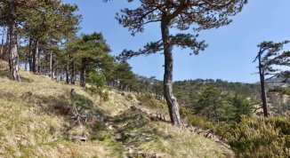 Il cammino dei santuari del mare, escursione da Arenzano a Voltri