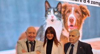 A Genova arriva il corso Vivere bene con il proprio familiare a quattro zampe