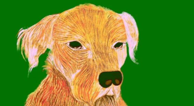 Breve storia della filosofia animale