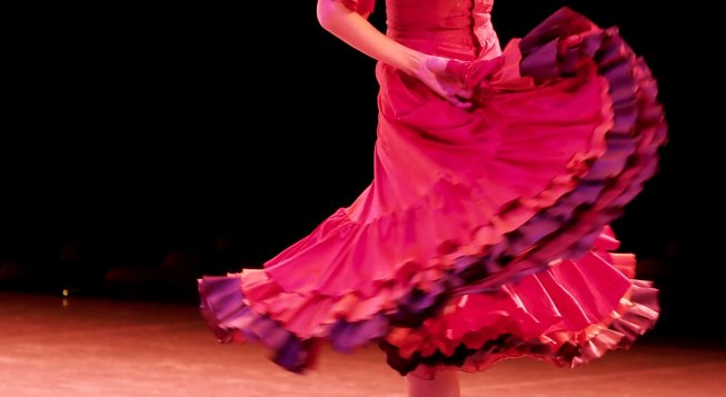 Flamenco © Kazuo Ota / Unsplash
