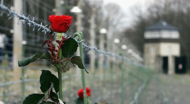Torino ricorda la Shoah: oltre un mese di iniziative per il Giorno della Memoria 2026
