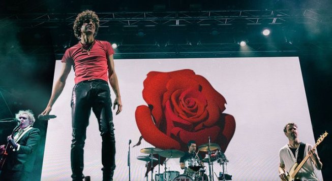 The Kooks