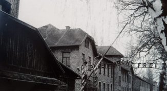 Giorno della Memoria 2026 Pino Torinese: eventi, mostre e teatro