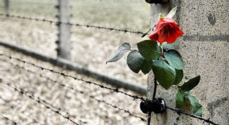 Giorno della Memoria Pinerolo 2026: eventi, corteo e mostre