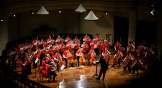 50 Anni Metodo Suzuki Italia: il programma dell'Anno Suzuki 2026 a Torino