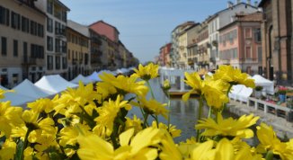 Fiori e Sapori sul Naviglio Grande 2026 (edizione autunnale)