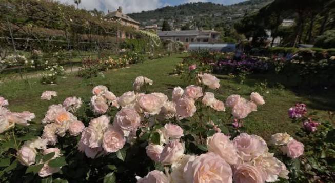 Parchi di Nervi ©Danilo Lo Re