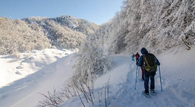 Foresta del Penna ©Enrico Bottino