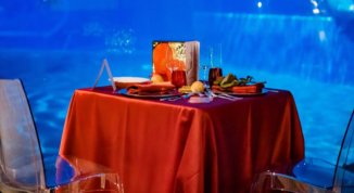 San Valentino all'Acquario di Genova 2026: cena romantica e visita esclusiva